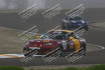 media/Jan-17-2026-CalClub SCCA (Sat) [[6b87d8fe28]]/Qual 3/Turn 3/